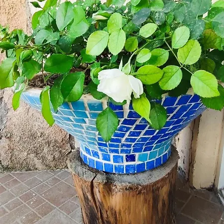 Bonapart Ξενοδοχείο 2*
