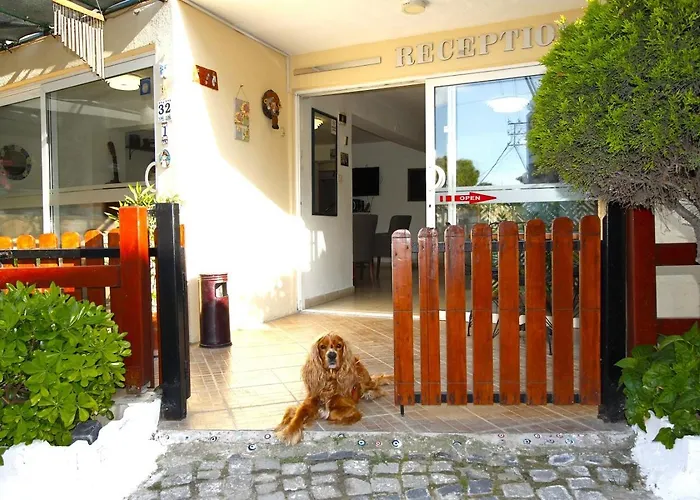 酒店 邦帕特酒店